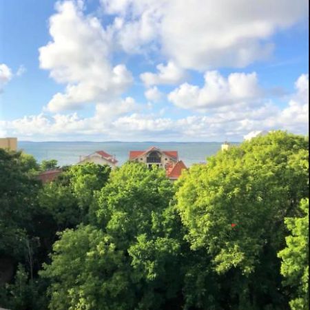 Appartement Vue Sur Baie Et Ocean, 100 M De La Plage Et Du Centre Par Chemin Prive Аркашон Экстерьер фото