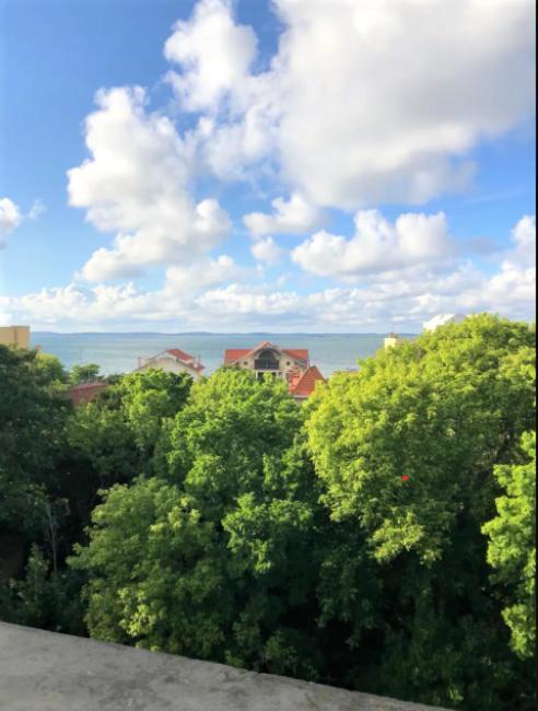 Appartement Vue Sur Baie Et Ocean, 100 M De La Plage Et Du Centre Par Chemin Prive Аркашон Экстерьер фото